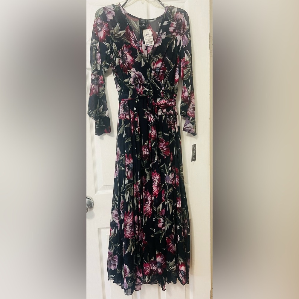 alexa b nites chiffon maxi dress size 6 NWT with waist band